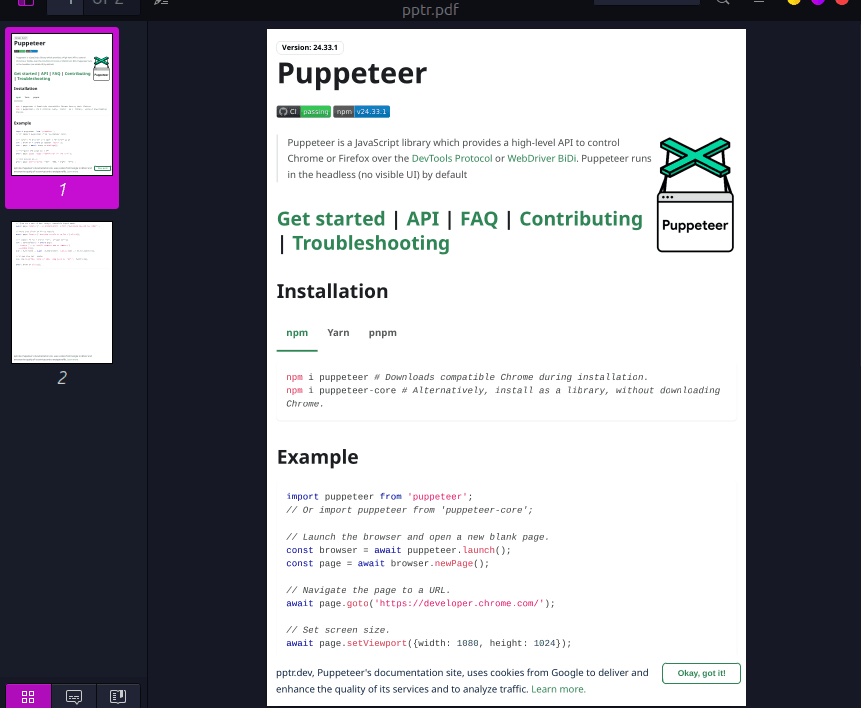 Generated PDF from Puppeteer website